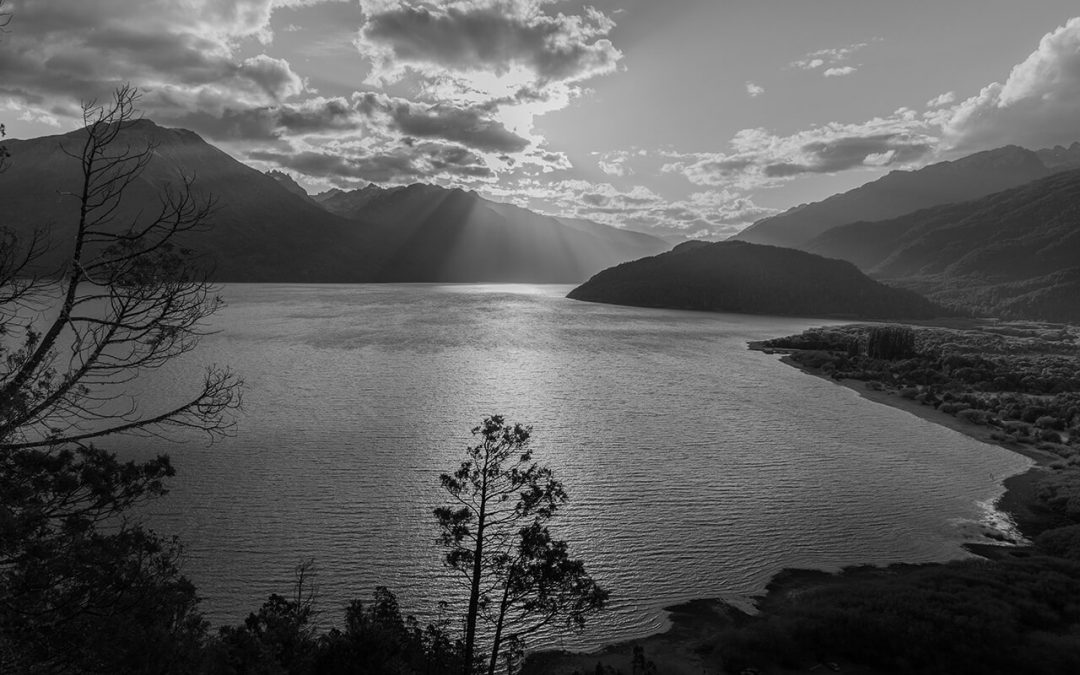 Taller de fotografía de autor